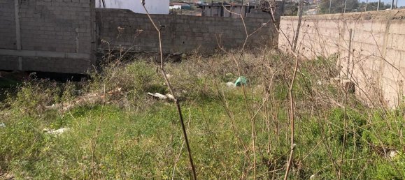 Land in San Cristobal de La Laguna, Spain No. 157083 4