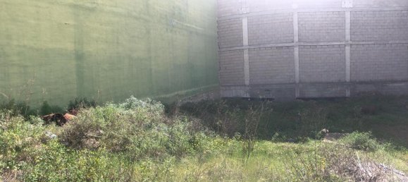 Land in San Cristobal de La Laguna, Spain No. 157083 2