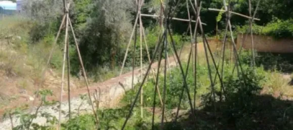 Casa de 13 dormitorios en Rincón de la Victoria, Spain No. 102400 13