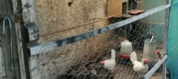 Casa de 13 dormitorios en Rincón de la Victoria, Spain No. 102400 9