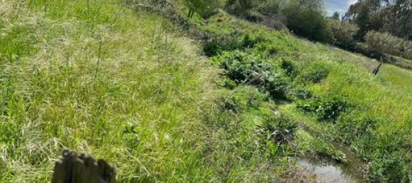 Grundstück in Vendas Novas, Portugal, Nr. 354871 3