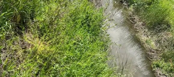 Grundstück in Vendas Novas, Portugal, Nr. 354871 9