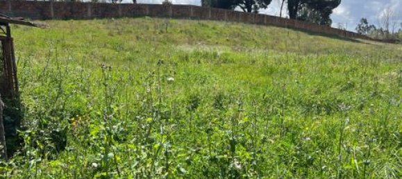 Grundstück in Vendas Novas, Portugal, Nr. 354871 5