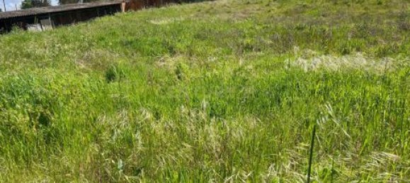 Grundstück in Vendas Novas, Portugal, Nr. 354871 10