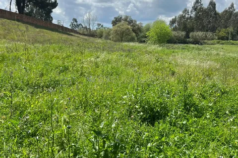 Земельный участок в Вендаш Новаш, Португалия № 354871