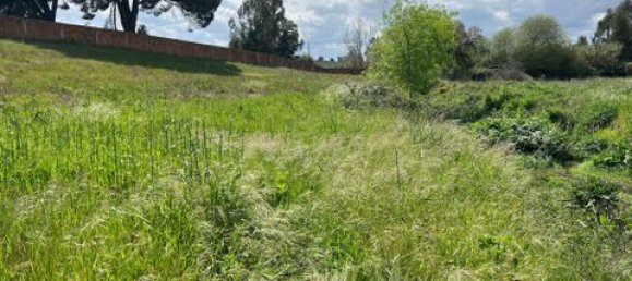 Grundstück in Vendas Novas, Portugal, Nr. 354871 7