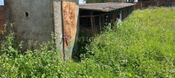 Grundstück in Vendas Novas, Portugal, Nr. 354871 4