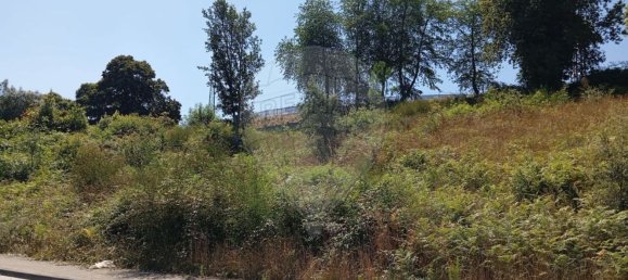 Земельный участок 2260м² в Фреамунде, Португалия № 67048 10
