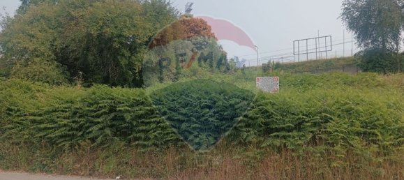 Земельный участок 2260м² в Фреамунде, Португалия № 67048 4