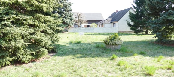  قطعة أرض في Brandenburg, Germany 970متر مربع رقم 53645 5