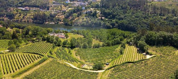 6 غرف نوم قلاع في Marco de Canaveses, Portugal رقم 56815 5