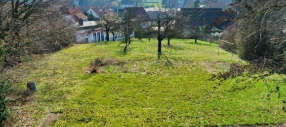 5 chambres Maison de ville à Hameln-Pyrmont, Germany No. 148549 4