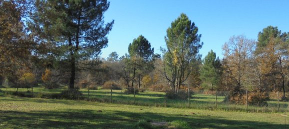 2 bedrooms House in Saint-Martin-de-Riberac, France No. 103927 5