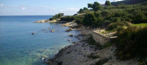  قطعة أرض في Zakynthos, Greece رقم 851 12