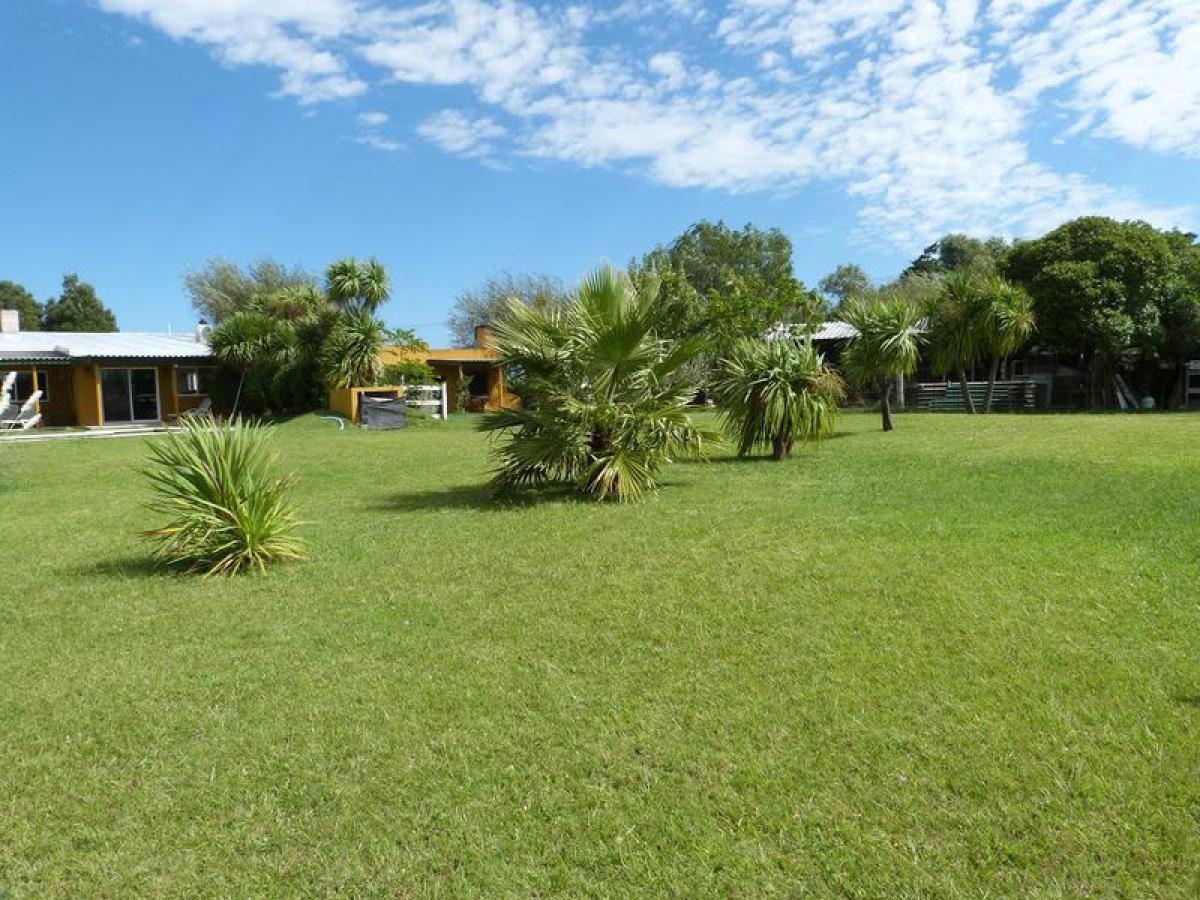  Farm in Maldonado, Uruguay No. 15448