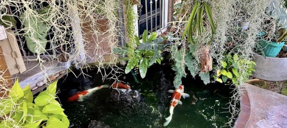 2 bedrooms Cafe / restaurant in Pattaya, Thailand No. 8690 8