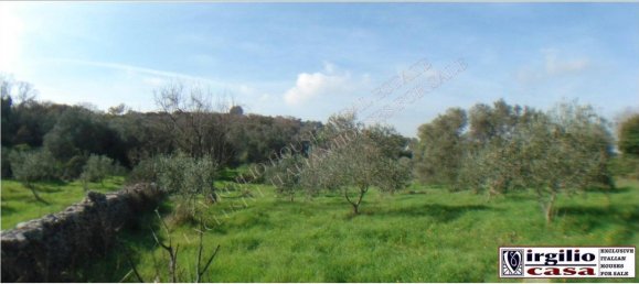 5-salle Maison à Ceglie Messapica, Italy No. 111073 26