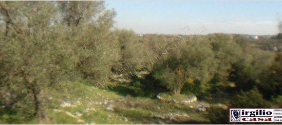 5-salle Maison à Ceglie Messapica, Italy No. 111073 19