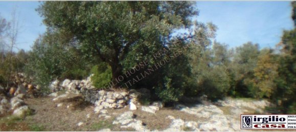 5-salle Maison à Ceglie Messapica, Italy No. 111073 20