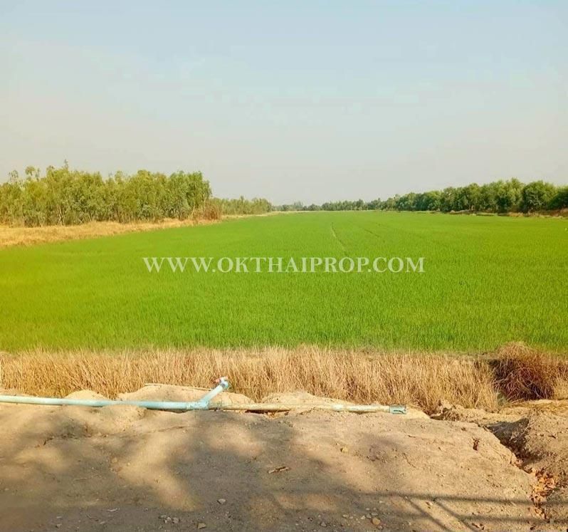 Terreno em Nakhon Nayok, Thailand 57220 m² N.º 75525