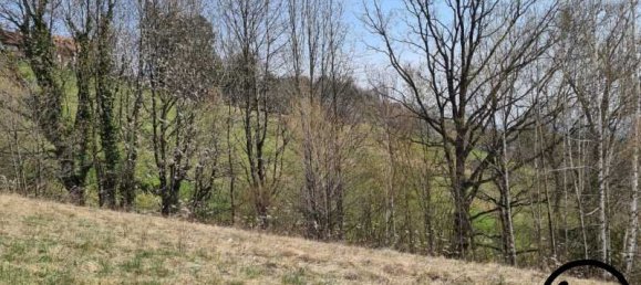  قطعة أرض في Deutschlandsberg, Austria رقم 192791 3