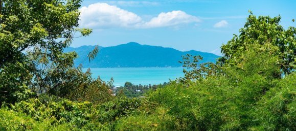 4 bedrooms Cafe / restaurant in Ko Samui, Thailand No. 6412 7