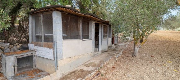 2 bedrooms House in Mallorca, Spain No. 167655 16