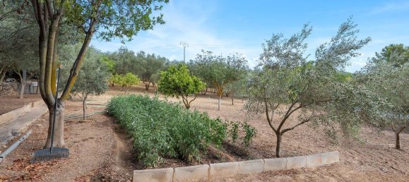 2 bedrooms House in Mallorca, Spain No. 167655 30