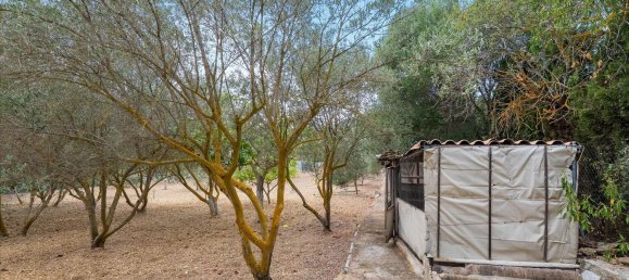 2 bedrooms House in Mallorca, Spain No. 167655 29