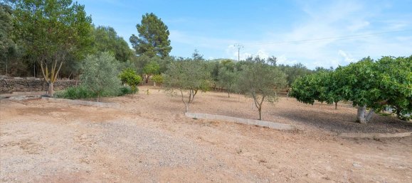 2 bedrooms House in Mallorca, Spain No. 167655 31