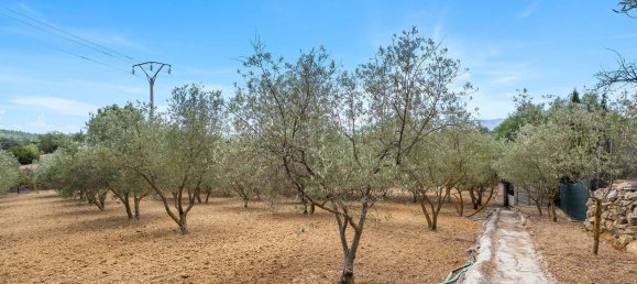 2 bedrooms House in Mallorca, Spain No. 167655 27