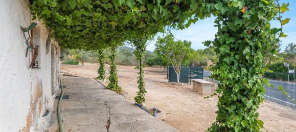 2 bedrooms House in Mallorca, Spain No. 167655 24