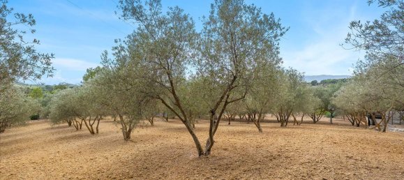 2 bedrooms House in Mallorca, Spain No. 167655 26