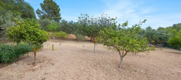 2 bedrooms House in Mallorca, Spain No. 167655 28