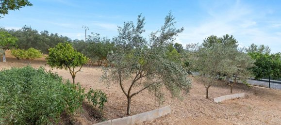 2 bedrooms House in Mallorca, Spain No. 167655 25