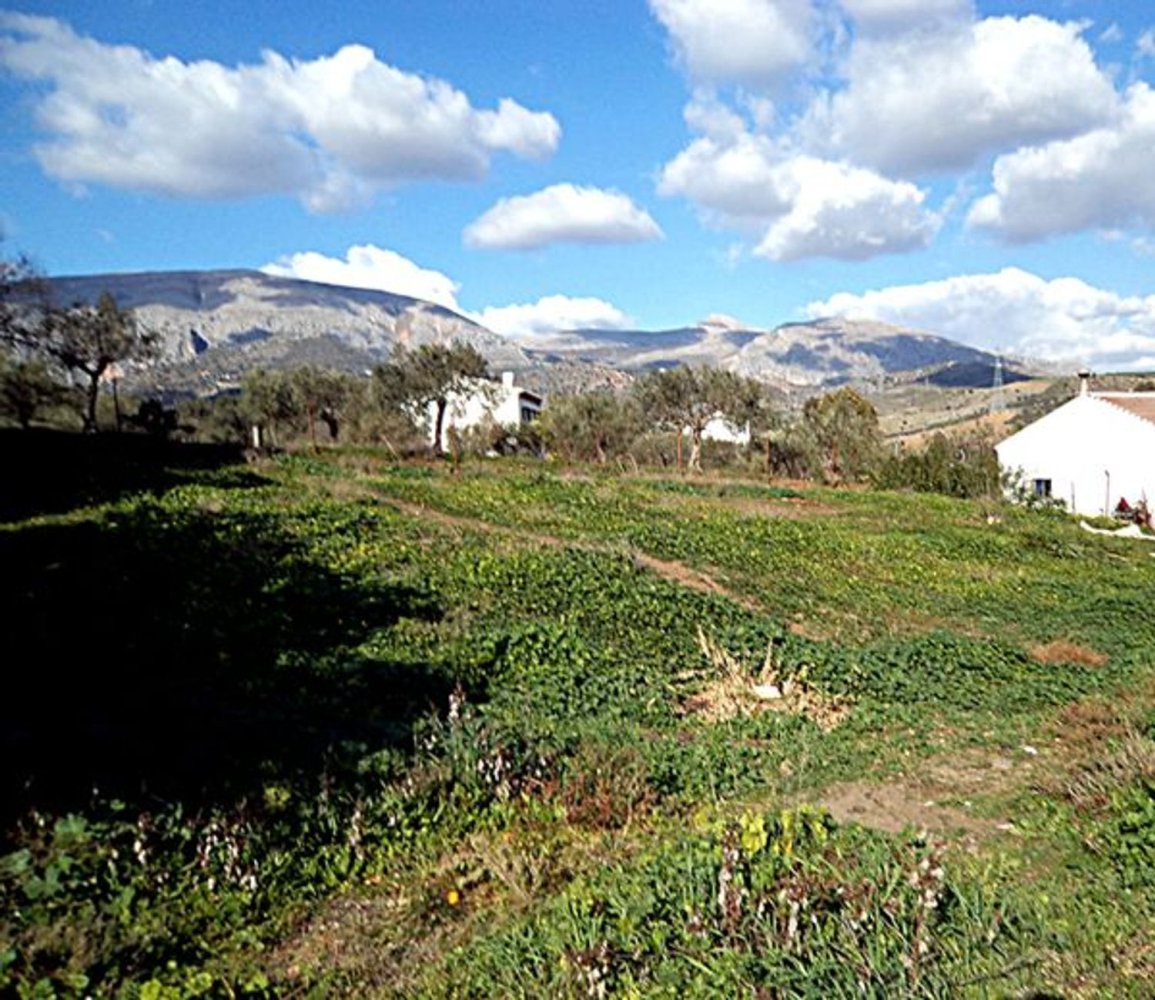 Terreno en Álora, Spain No. 161466