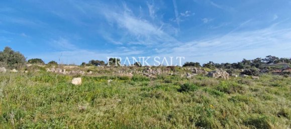 Lagerhaus in Ghaxaq, Malta 3000m², Nr. 13519 2