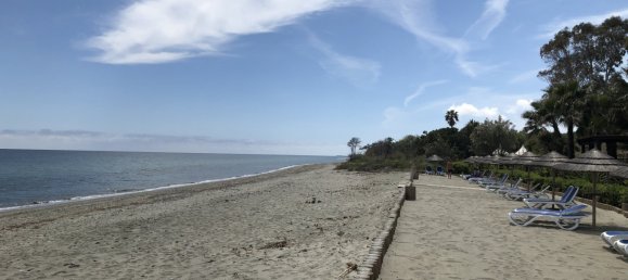 1 bedroom Apartment in San-Nicolao, France No. 58568 10