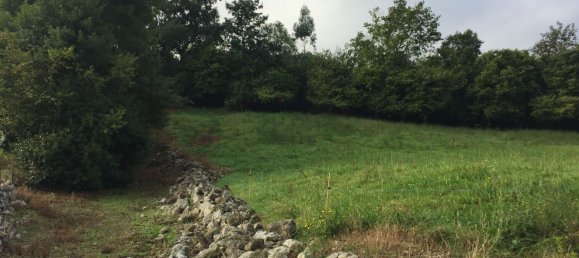 Terreno en Ribadesella, Spain No. 166287 14