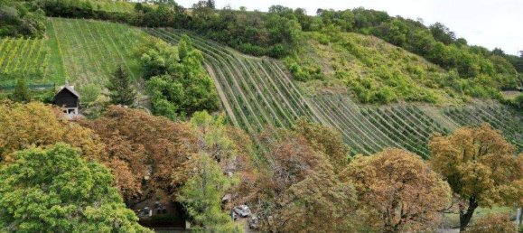 Land in Dobling, Austria No. 135069 3