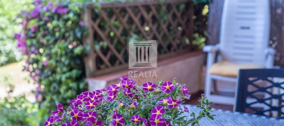 3 rooms Apartment in Golfo Aranci, Italy No. 278512 4