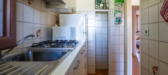 3 rooms Apartment in Golfo Aranci, Italy No. 278512 14