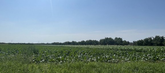 Terrain à Kittsee, Austria No. 136750 3