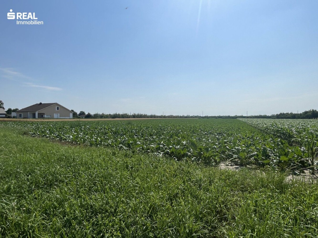 Terrain à Kittsee, Austria No. 136750