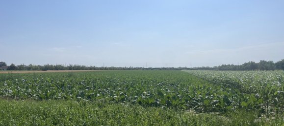 Terrain à Kittsee, Austria No. 136750 2