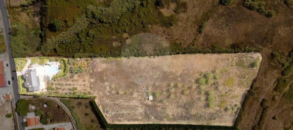 10 bedrooms House in Lourinha, Portugal No. 164196 46