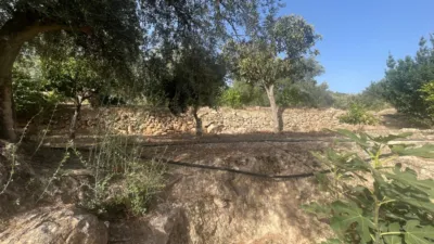 Grundstück in Granada, Spain, Nr. 266886