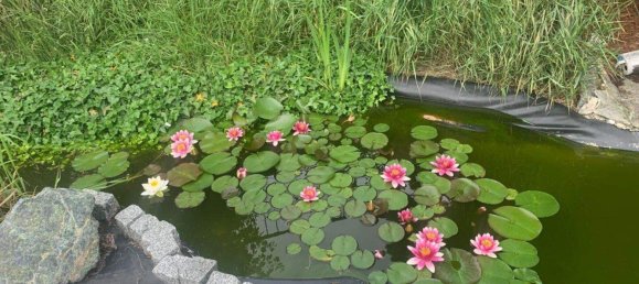 7غرفة منزل في Grosswarasdorf, Austria رقم 201896 18