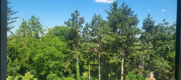 5-salle Maison à Zeiselmauer-Wolfpassing, Austria No. 181317 10