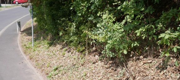  قطعة أرض في Bad Kissingen, Germany رقم 318439 3